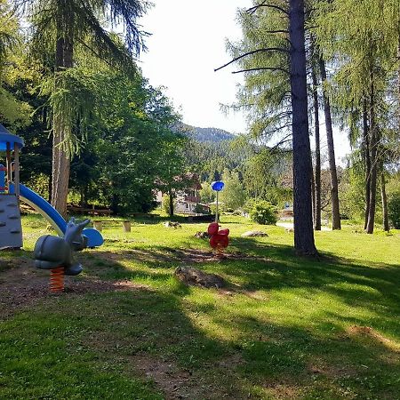 B&B - Cane In Fiore Baselga di Pinè المظهر الخارجي الصورة